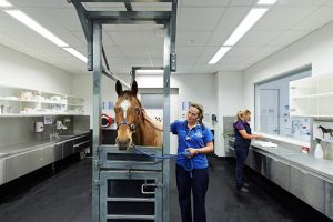 Equine Health Centre